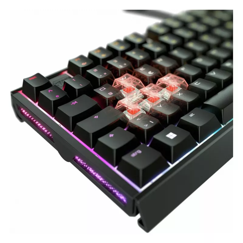 CHERRY XTRFY MX 3.1 Teclado mecânico RGB, com fios, tamanho completo