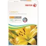 Xerox Colotech+ - Muito liso - não revestido - 100 micrómetros - High White - A3 (297 x 420 mm) - 90 g/m² - 500 folhas de papel digital (pack de 5) (00