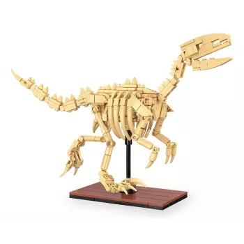 Conjunto de construção Jamara CaDA fóssil de dinossauro Velociraptor — 256 peças, idade 8+, bege/castanho
