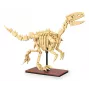 Conjunto de construção Jamara CaDA fóssil de dinossauro Velociraptor — 256 peças, idade 8+, bege/castanho