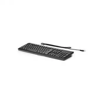 Hewlett Packard Enterprise HPE Standard - Teclado - USB - Francês - Prateado, Carbonit (QY776AA#ABF)