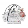 Tapete de atividades para bebé milly mally Baby Mat 5in1 Minky – tapete multifuncional 5 em 1 para bebé para posição de barriga, brincar, descansar, gatinhar, viajar