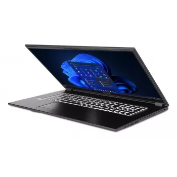 TERRA 1716R Portátil Intel® Core™ i3 i3-1315U 43,9 cm (17,3