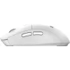 MSI FORGE K210 W COMBO WHITE US Teclado Rato incluído Home/Office USB QWERTY US English