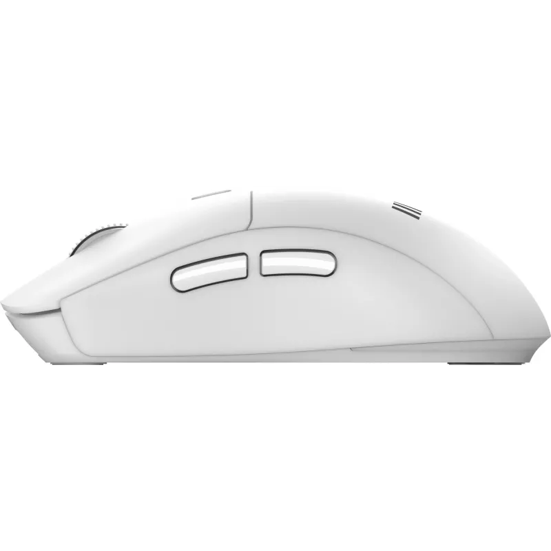 MSI FORGE K210 W COMBO WHITE US Teclado Rato incluído Home/Office USB QWERTY US English