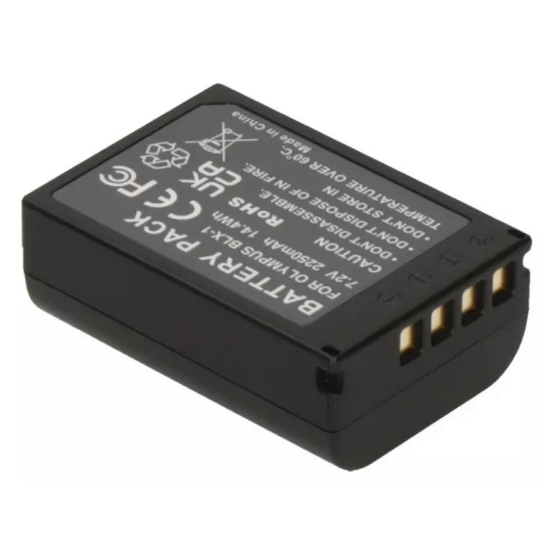 Bateria para câmara/camcorder 2-Power DBI1016A 2250 mAh