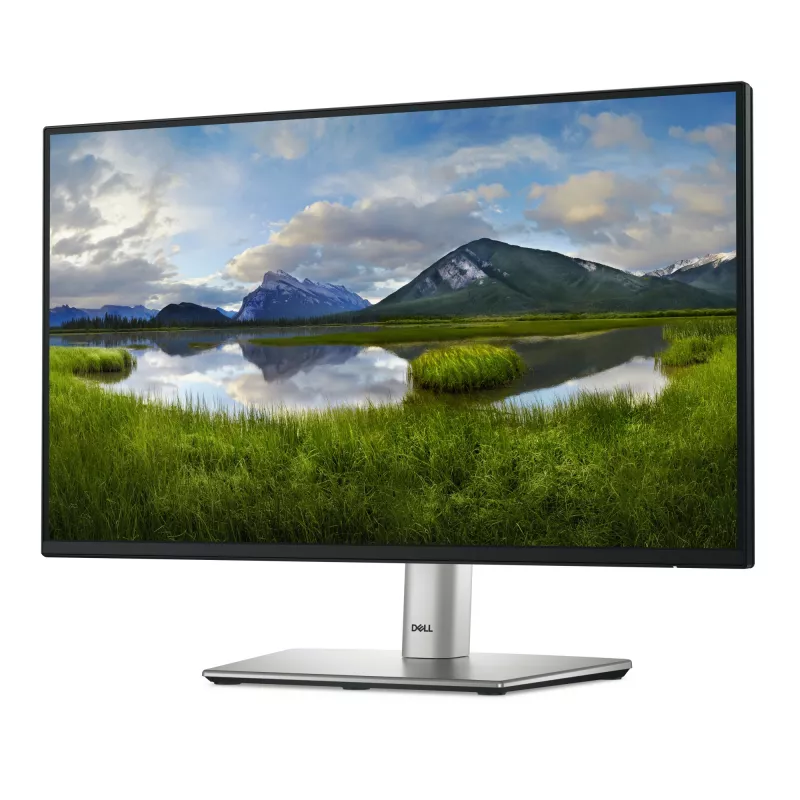 DELL P Series P2225H Monitor de computador 54,6 cm (21,5 polegadas) 1920 x 1080 píxeis Full HD LCD Preto, Prateado