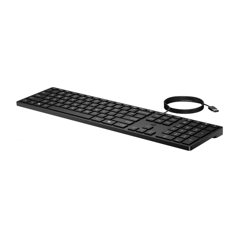 HP Wired Desktop 320K Teclado de tamanho completo USB membrana Preto