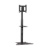 Chief PF1UB suporte de monitor / base 190,5 cm (75