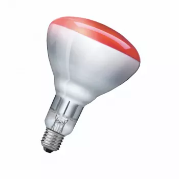 Lâmpada de infravermelhos Philips 923212043801 250 W 5000 h 230-250 V