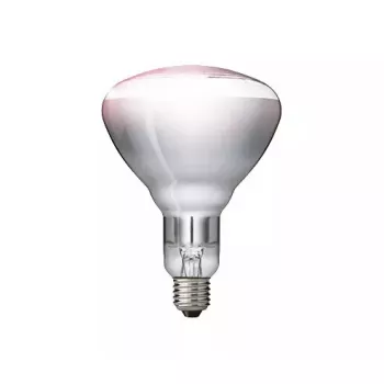 Lâmpada de infravermelhos Philips 57522725 150 W 5000 h 230-250 V