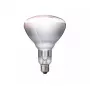 Lâmpada de infravermelhos Philips 57522725 150 W 5000 h 230-250 V