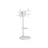 Suporte de chão com prateleira para TV LCD/LED/Plasma 37-86 polegadas TECHLY branco