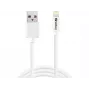 SANDBERG 440-94 Cabo SANDBERG USB>Lightning 2M certificado pela Apple