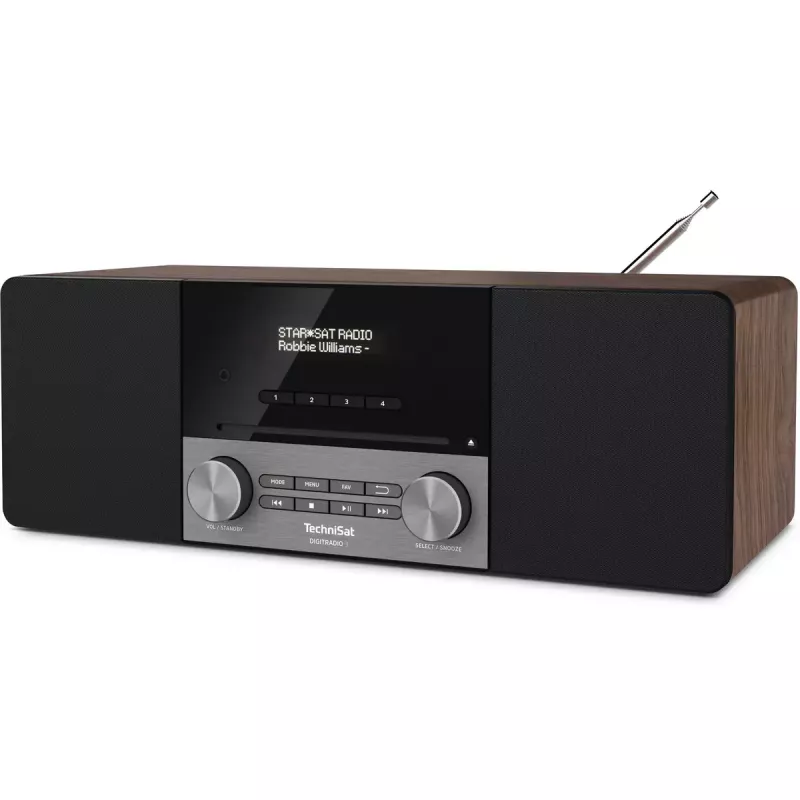 Rádio portátil TechniSat DigitalRadio 3 analógico e digital DAB+ FM