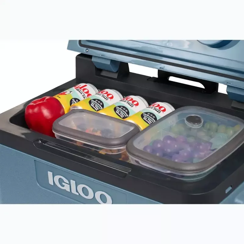 Arca frigorífica termoelétrica IGLOO IE42 – 42 qt arrefecedor portátil DC/AC