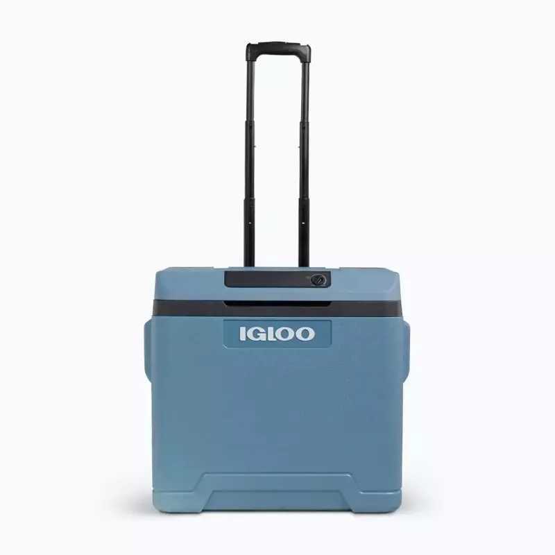 Arca frigorífica termoelétrica IGLOO IE42 – 42 qt arrefecedor portátil DC/AC