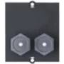 Bachmann Custom module - Faceplate modular Snap-In - F-Plug X 2 - preto (917.117)