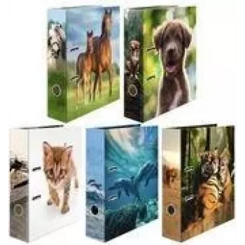 Dossiê de arquivo Herma Dossiê decorativo 