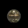 Sonar Deeper Smart Sonar Chirp+4 sonda de peixe Wi-Fi, bateria incorporada, caixa ABS, verde/castanho