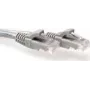Cabo de rede ACT cinzento 1,5 m U/UTP CAT6A Snagless RJ45