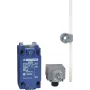 Interruptor de posição Schneider Electric XCKJ10559H29 / 90276