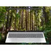 HP OmniBook 5 16-bc1002na AMD Ryzen™ 5 8540U Portátil 40,6 cm (16 polegadas) ecrã tátil 2K 8 GB LPDDR5-SDRAM 512 GB SSD Wi-Fi 6 (802.11ax) Windows 11 Home prateado (recondicionado)
