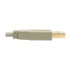 Cabo USB 2.0 A para B Tripp Lite U022-006-BE 1,8 m bege