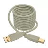 Cabo USB 2.0 A para B Tripp Lite U022-006-BE 1,8 m bege