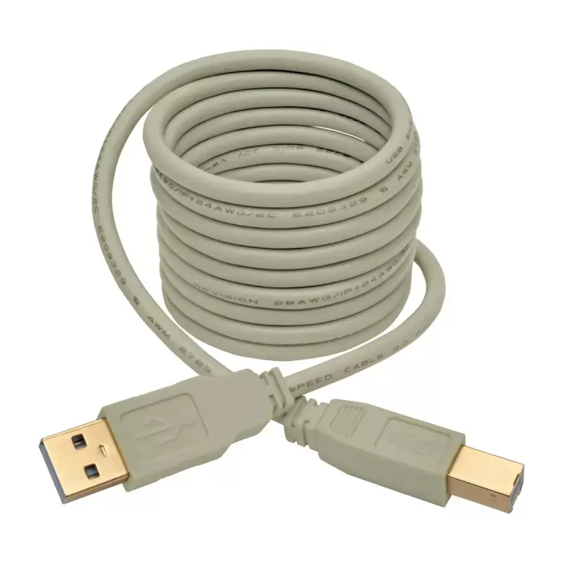 Cabo USB 2.0 A para B Tripp Lite U022-006-BE 1,8 m bege