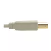 Cabo USB 2.0 A para B Tripp Lite U022-006-BE 1,8 m bege