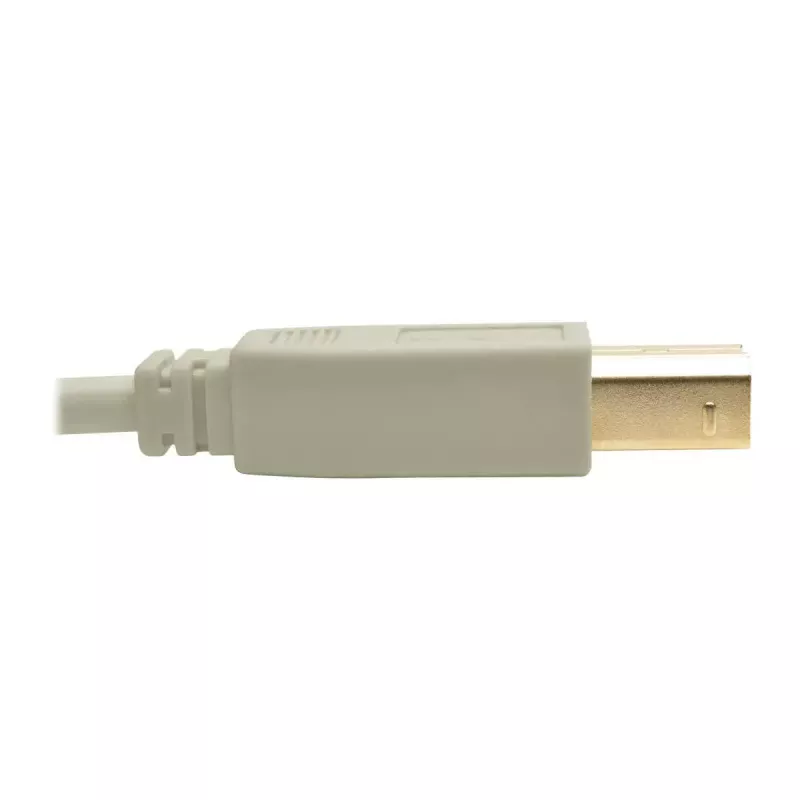 Cabo USB 2.0 A para B Tripp Lite U022-006-BE 1,8 m bege
