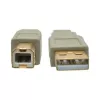 Cabo USB 2.0 A para B Tripp Lite U022-006-BE 1,8 m bege