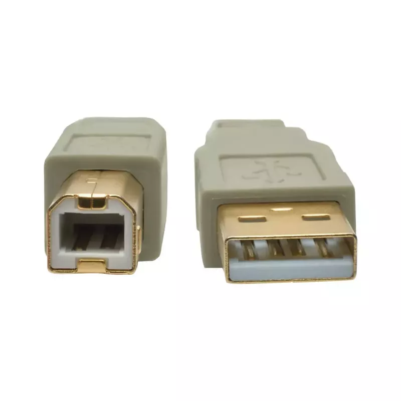 Cabo USB 2.0 A para B Tripp Lite U022-006-BE 1,8 m bege
