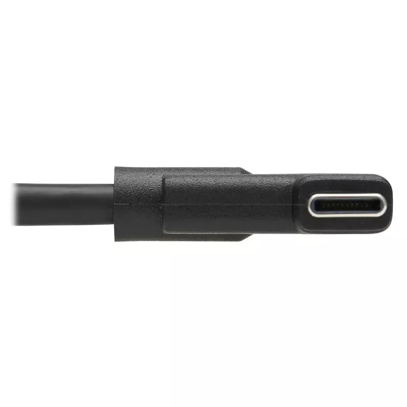 Cabo USB-C Tripp Lite U420-02M-RA 2 m USB 3.2 Gen 1 Thunderbolt 3 angular