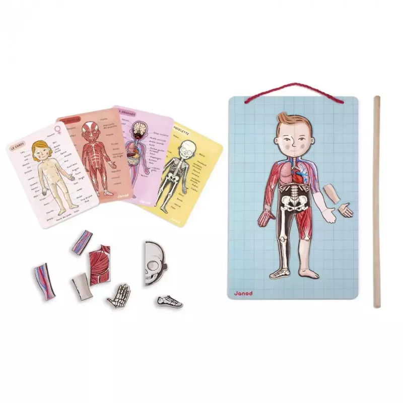 Brinquedo educativo Janod J05491 multicolor 7 a 12 anos