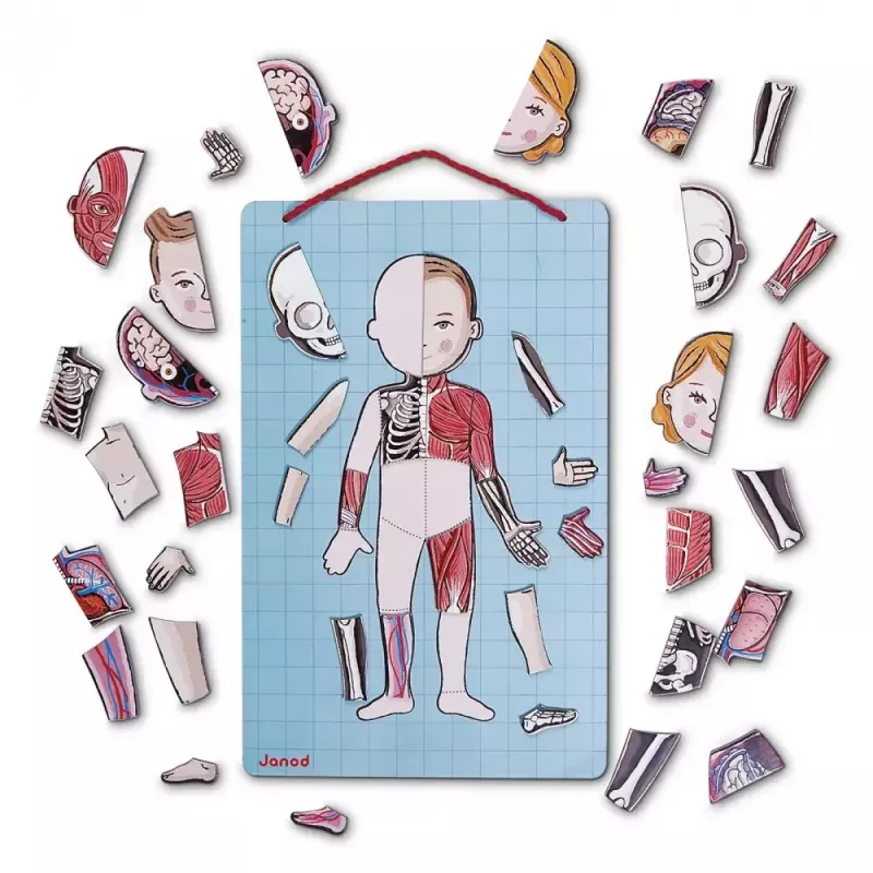Brinquedo educativo Janod J05491 multicolor 7 a 12 anos