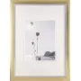 Moldura Walther Beyond DIN A3 29,7×42 cm resina champanhe/dourado