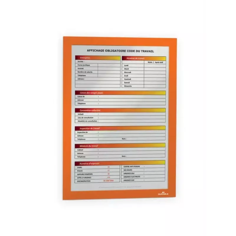 Moldura magnética A4 Durable DURAFRAME laranja