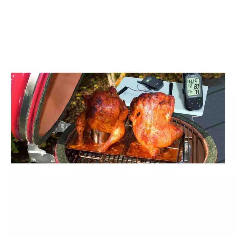 Termómetro alimentar TFA-Dostmann KÜCHEN-CHEF TWIN 0 - 300 °C digital