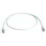 Cabo de rede Telegärtner MP8 FS500 LSZH 1m