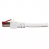 Cabo de rede EFB Elektronik K5518.30 RJ-45 Cat6 30 m branco