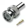 Conector de fio BNC EFB Elektronik 52502.1