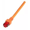 Cabo de rede EFB Elektronik K5516.50 RJ-45 Cat6 50 m laranja