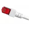 Cabo de rede EFB Elektronik K5518.50 RJ-45 Cat6 50 m branco