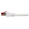 Cabo de rede EFB Elektronik K5518.50 RJ-45 Cat6 50 m branco