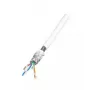 Cabo de rede EFB Elektronik MK7104.100W S/FTP Cat7 100 m branco