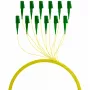 EFB Elektronik FTTH-PIGTAIL-LCA1 2 m LC/APC 6x LC OS2 cabo de fibra ótica