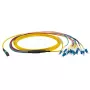 Cabo de fibra ótica EFB Elektronik MTPF12LCOS2-2