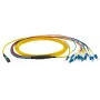 Cabo de fibra ótica EFB Elektronik MTPF12LCOS2-5 5 m